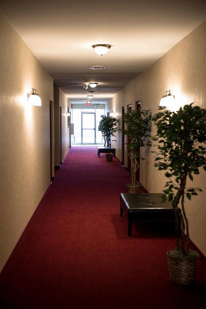 Pacer Inn & Suites Motel Delaware Bagian luar foto
